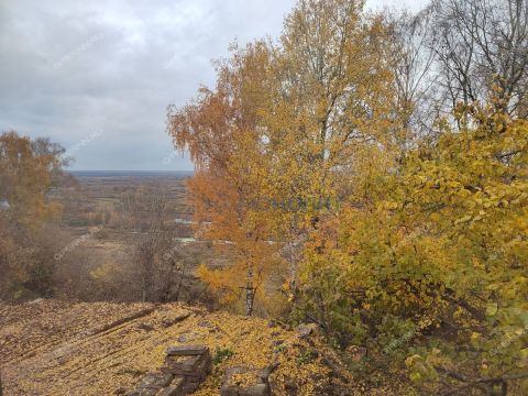 dom-derevnya-afonino-kstovskiy-rayon фото