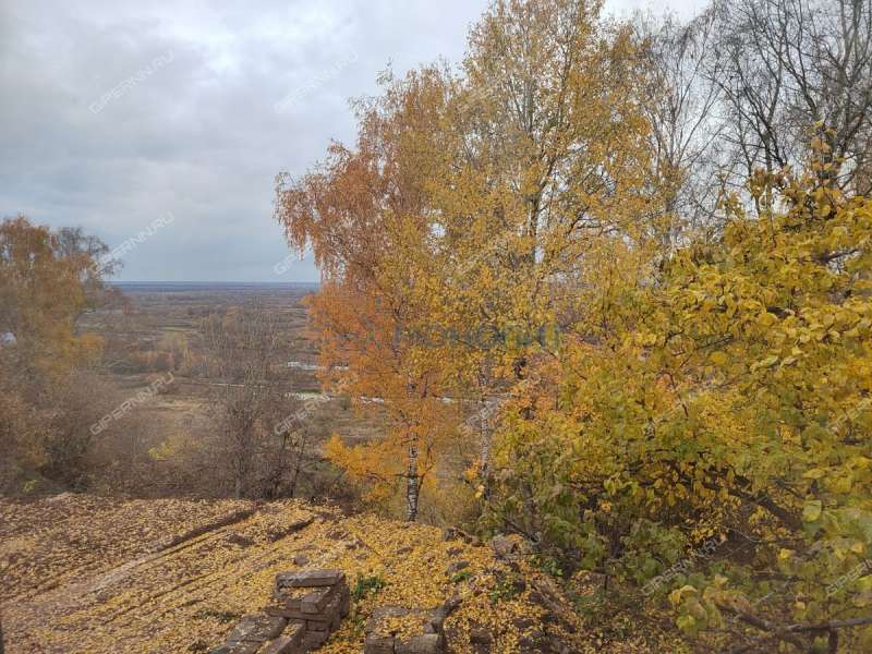 дом на Магистральной улице деревня Афонино