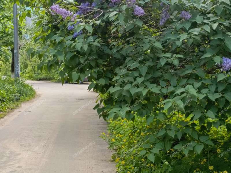 однокомнатная квартира на улице Грибоедова дом 19 город Дзержинск