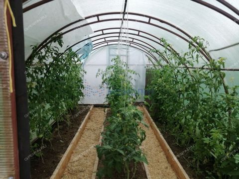 derevnya-lindo-pustyn-kantaurovskiy-selsovet-gorodskoy-okrug-bor фото