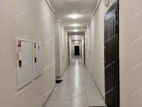 1-komnatnaya-ankudinovka-kstovskiy-rayon фото