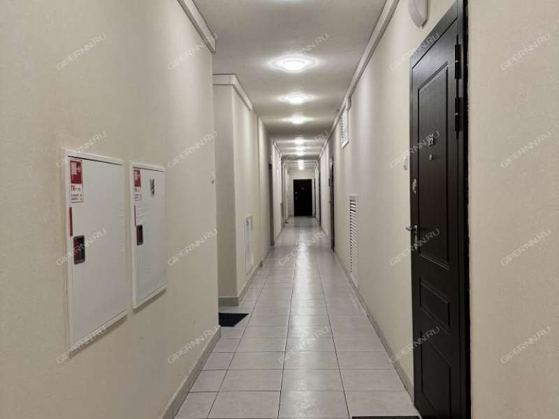 однокомнатная квартира на Русская ул дом 11 Анкудиновка