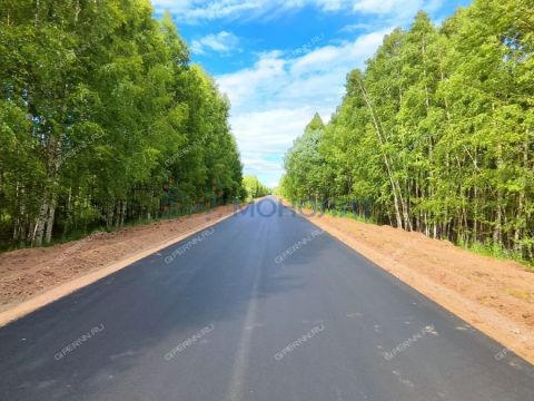 derevnya-pudovo-sokolskiy-gorodskoy-okrug фото