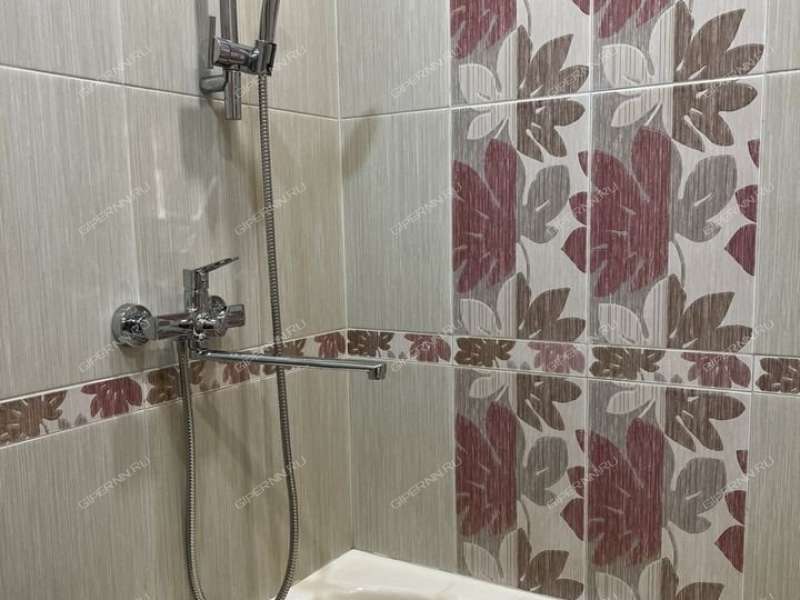 однокомнатная квартира на улице Ванеева дом 90