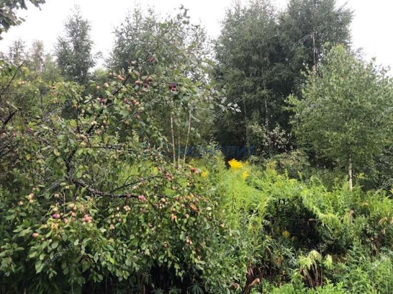 земельный участок под сельхоз назначение в Богородском районе Нижегородской области