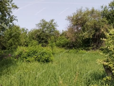 gorod-balahna-balahninskiy-municipalnyy-okrug фото