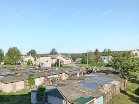3-komnatnaya-derevnya-drozdovo-brilyakovskiy-selsovet-gorodeckiy-rayon фото