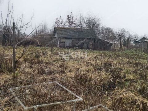 dacha-gorod-gorodec-gorodeckiy-rayon фото