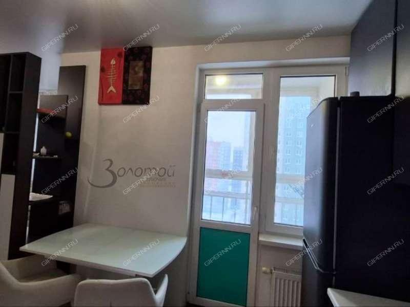 двухкомнатная квартира на Русской улице улице дом 9 деревня Анкудиновка