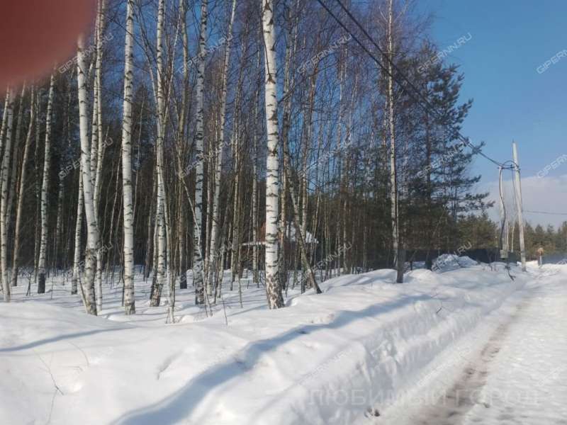 земельный участок 10,1 сотки Березовая пойма п