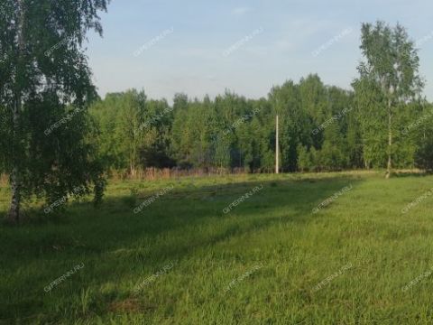 derevnya-mozgulino-gorodeckiy-rayon фото