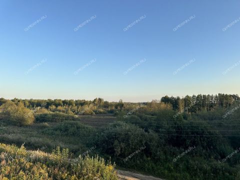 kottedzh-derevnya-omanovo-krasnoslobodskiy-selsovet-gorodskoy-okrug-bor фото