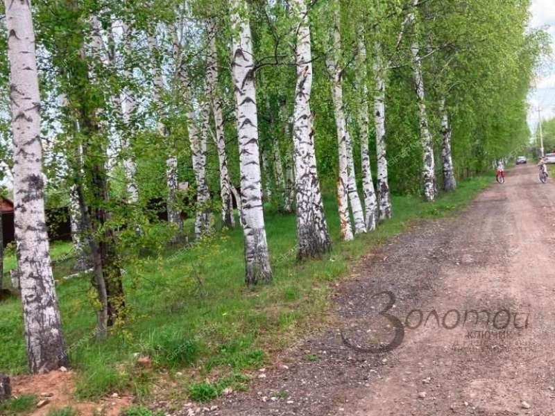 земельный участок 8 соток СНТ-16 ОАО ГАЗ деревня Новая Пунерь