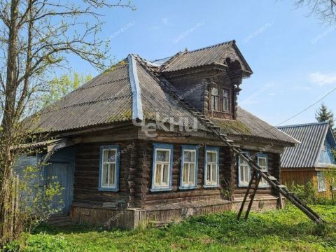 derevnya-blazhencovo-gorodeckiy-rayon фото