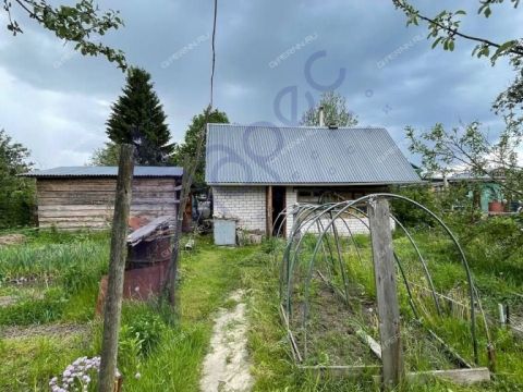 dacha-derevnya-aleshino-semenovskiy-gorodskoy-okrug фото