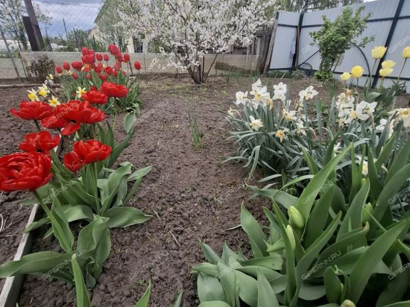 трёхкомнатная квартира на Школьная ул. дом 1 село Чернуха