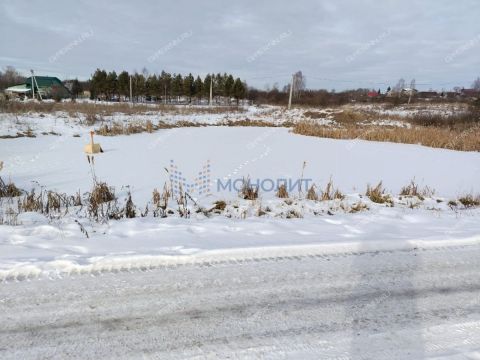 derevnya-kriusha-dalnekonstantinovskiy-rayon фото