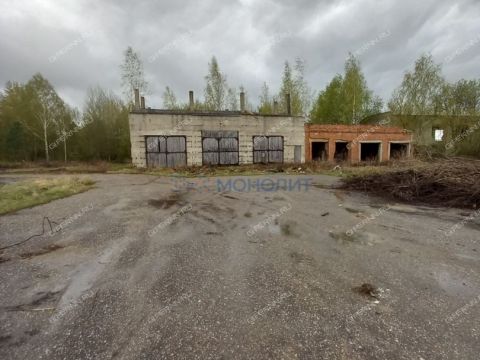 gorod-bor-gorodskoy-okrug-bor фото