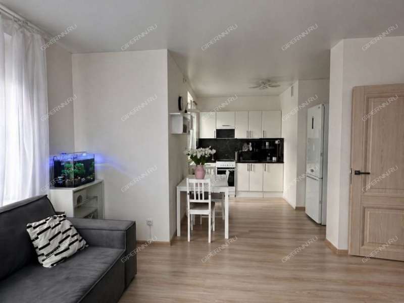 однокомнатная квартира на Русская ул дом 11 Анкудиновка