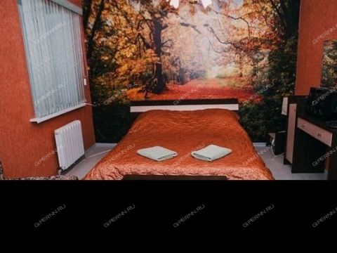 derevnya-rozhnovo-gorodskoy-okrug-bor фото