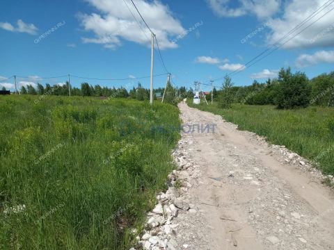 derevnya-burcevo-bogorodskiy-municipalnyy-okrug фото