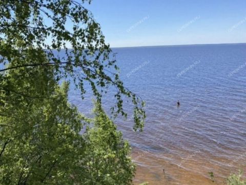 derevnya-bushnevo-gorodeckiy-rayon фото