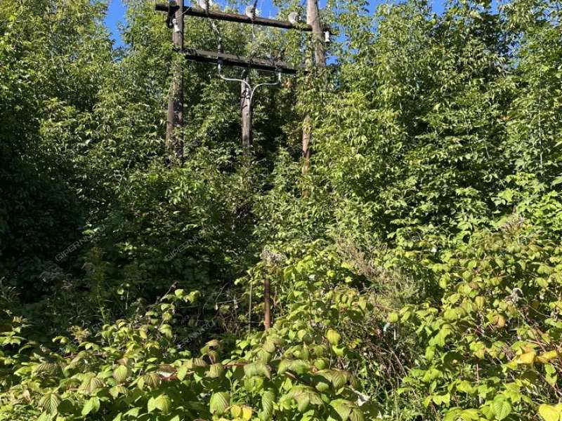 дача на улице Ломоносова