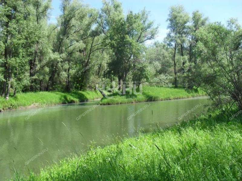 земельный участок 190 соток деревня Кужутки