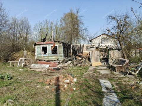 gorod-bor-gorodskoy-okrug-bor фото