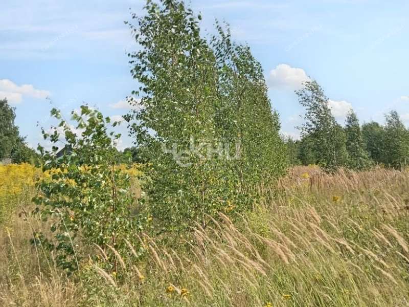 земельный участок 20 соток деревня Гришманово