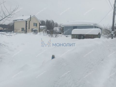 zolotoe-runo-derevnya-ogolihino-ter-snt-gorodskoy-okrug-bor фото