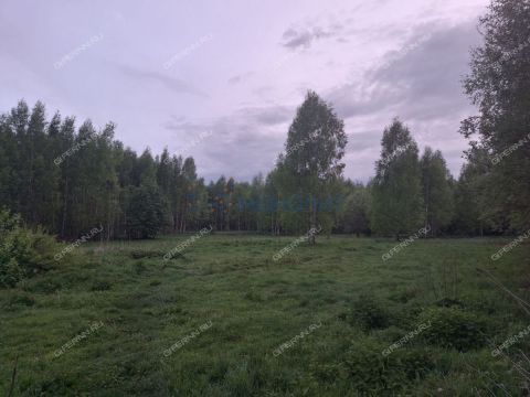 dom-derevnya-martynovo-gorodeckiy-rayon фото