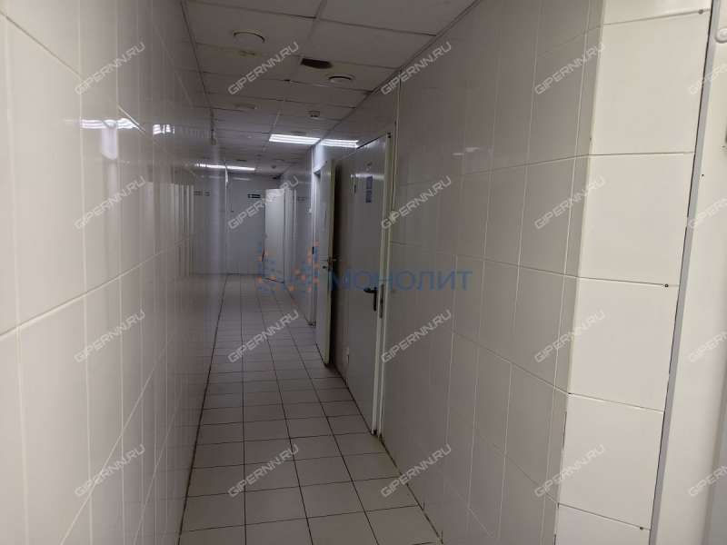 помещение под помещение свободного назначения, торговую площадь на Советской площади город Балахна