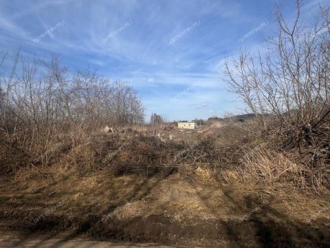 poselok-centralnyy-bogorodskiy-municipalnyy-okrug фото