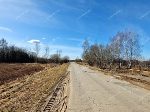 derevnya-novolikeevo-kstovskiy-rayon фото