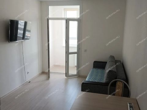 kvartira-studiya-derevnya-ankudinovka-kstovskiy-rayon фото