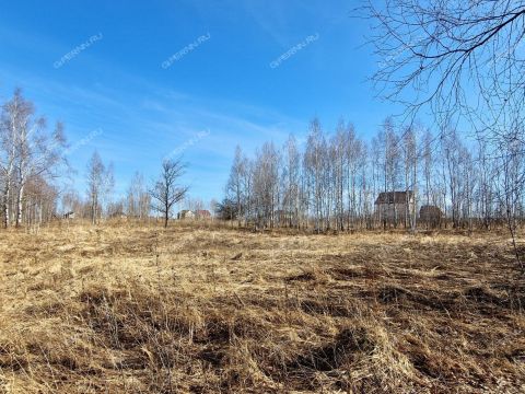 derevnya-novolikeevo-kstovskiy-rayon фото