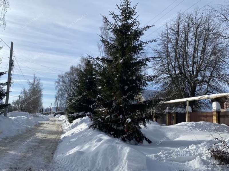 дом на Центральной улице