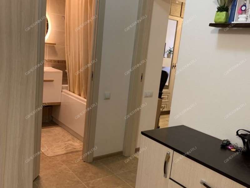 двухкомнатная квартира на Русской улице улице дом 9 деревня Анкудиновка