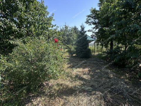 dacha-gorod-kstovo-kstovskiy-rayon фото