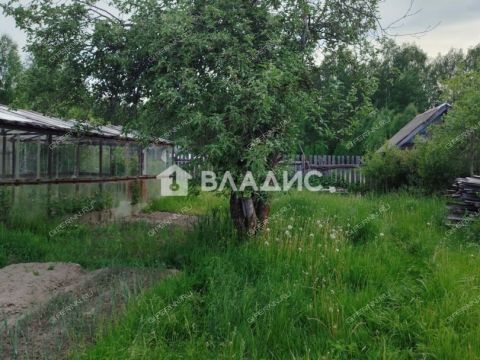 dom-derevnya-dolgovo-gorodskoy-okrug-bor фото