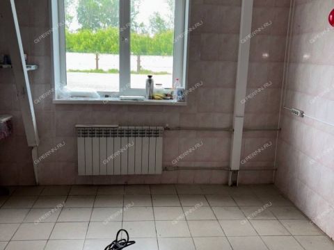 selo-zaprudnoe-kstovskiy-rayon фото