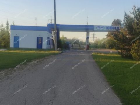 derevnya-moshkino-brilyakovskiy-selsovet-gorodeckiy-rayon фото