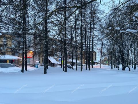 2-komnatnaya-ul-uchitelskaya-d-12 фото