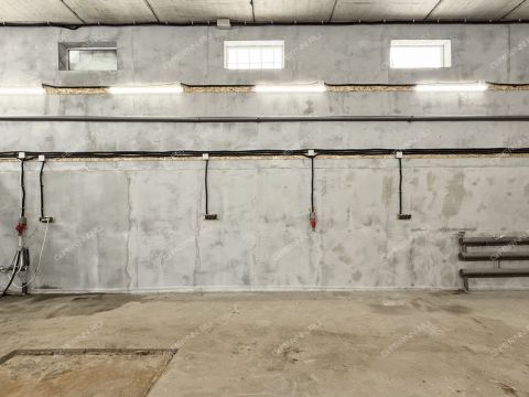 ul-11-ya-dubravnaya фото