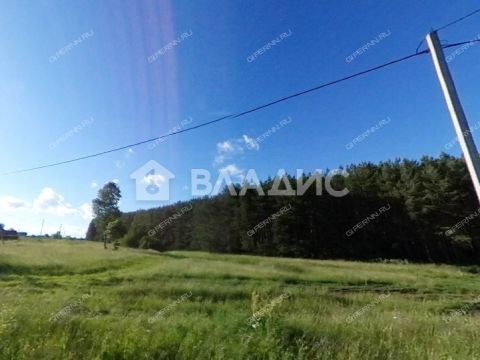 derevnya-inyutino-bogorodskiy-municipalnyy-okrug фото
