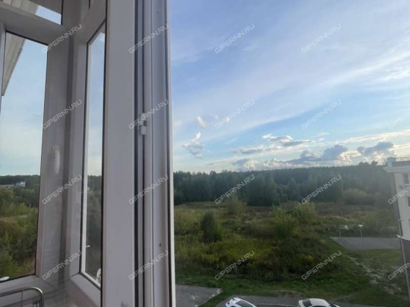 однокомнатная квартира в 6-м микрорайоне дом 36а город Кстово