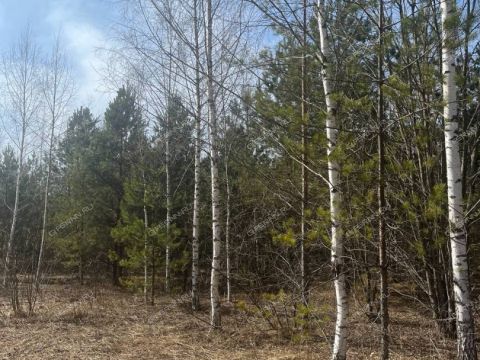 derevnya-kileley-bogorodskiy-municipalnyy-okrug фото