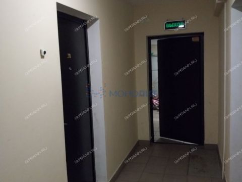 1-komnatnaya-derevnya-novopokrovskoe-ul-izumrudnaya-d-18-k2 фото