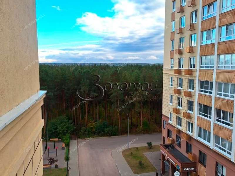 однокомнатная квартира на проспекте Циолковского дом 61г город Дзержинск